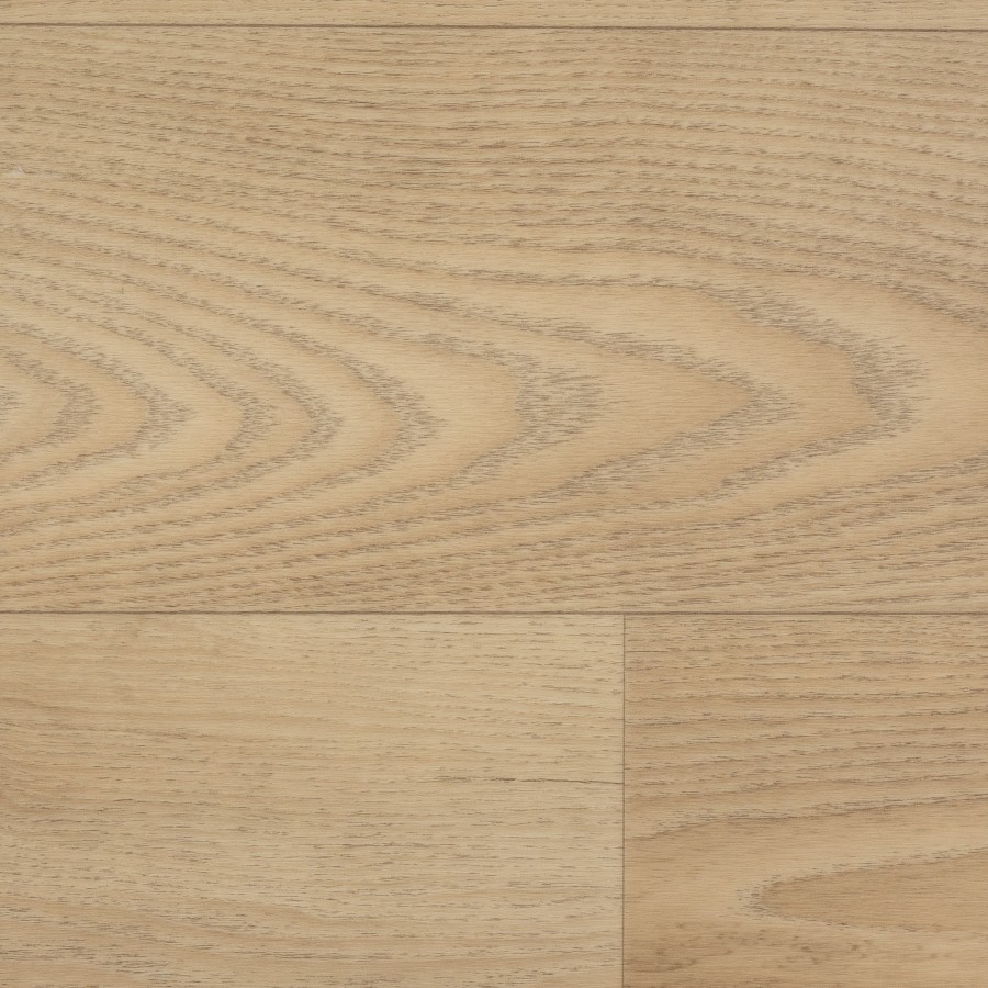 Soft Elm Authentic