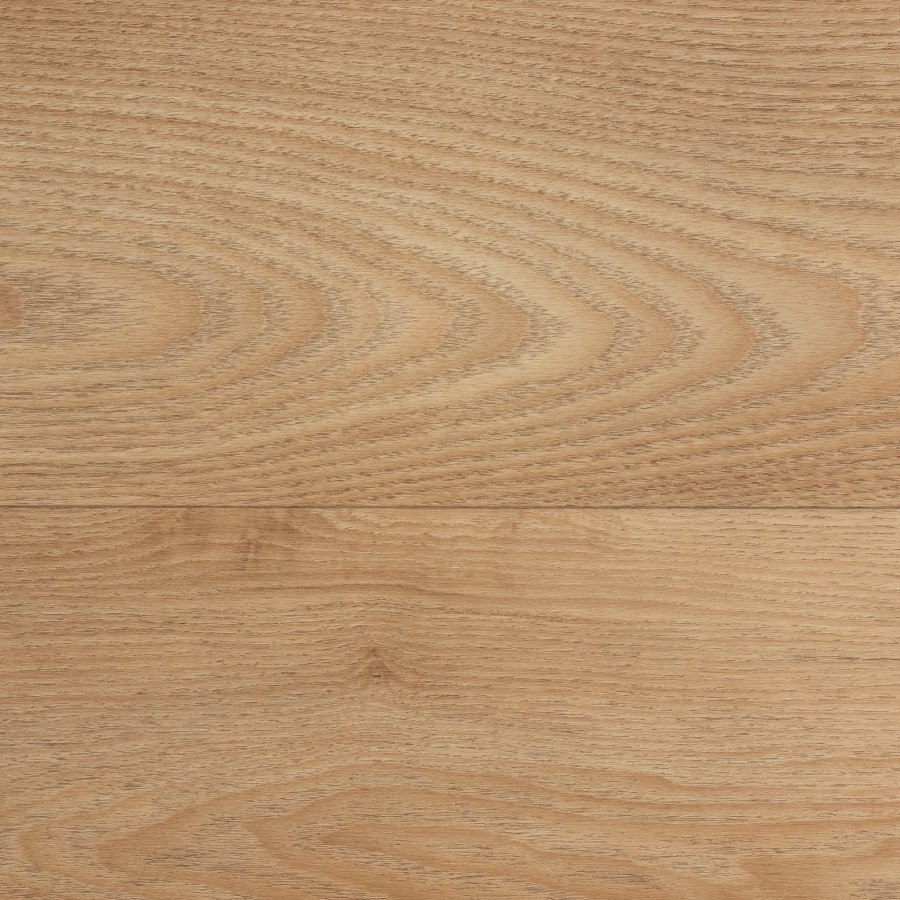 Soft Elm Caramel