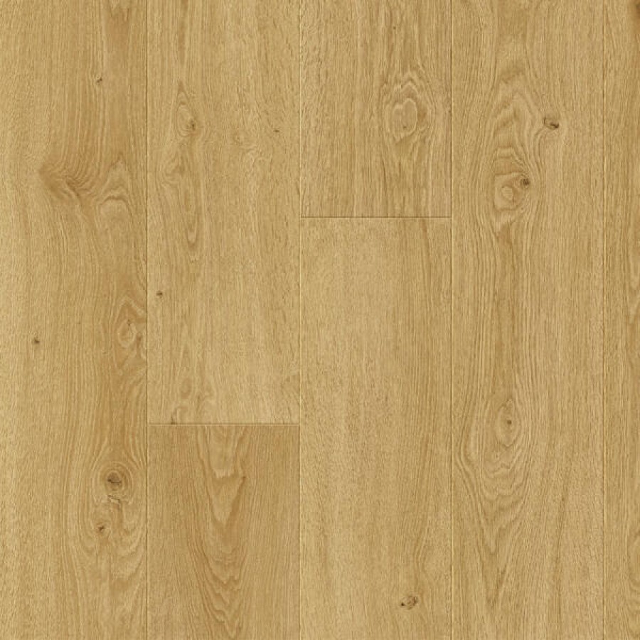 Solstice Oak