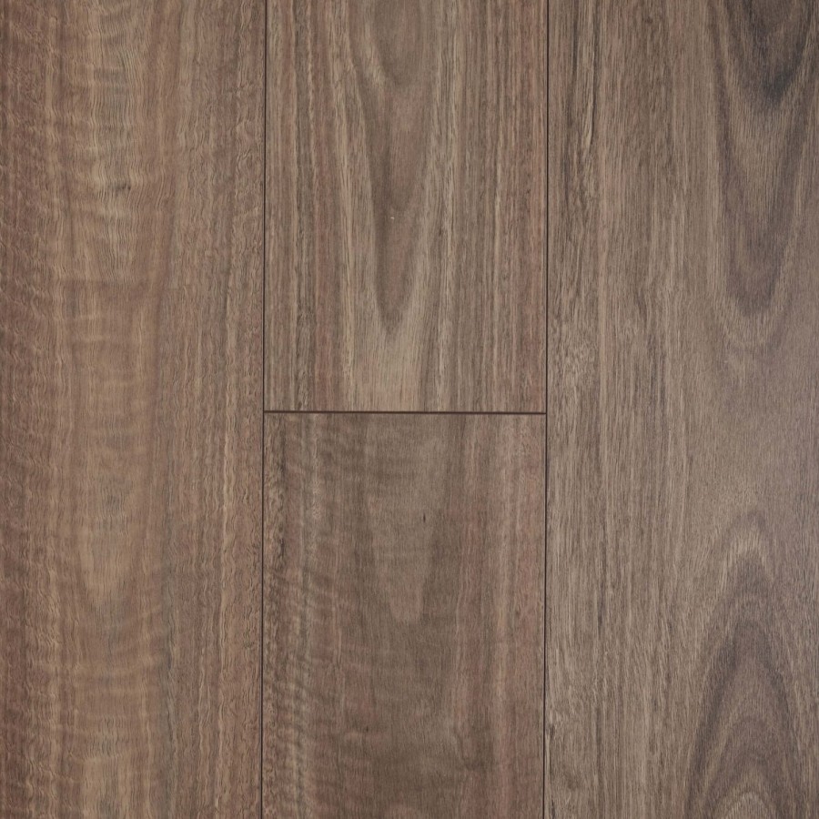 Spotted Gum v3