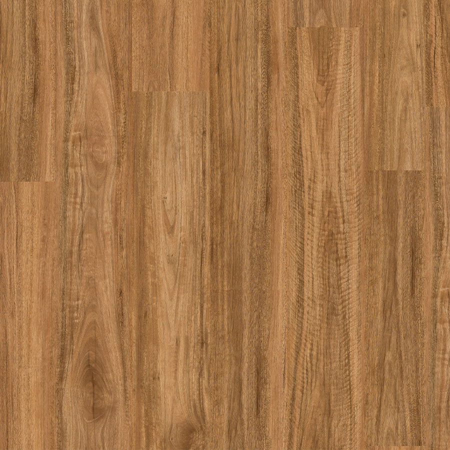 Spotted Gum