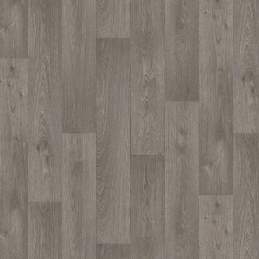 Swan Dark Grey