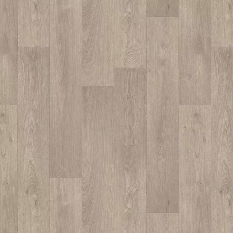 Swan Medium Grege 108