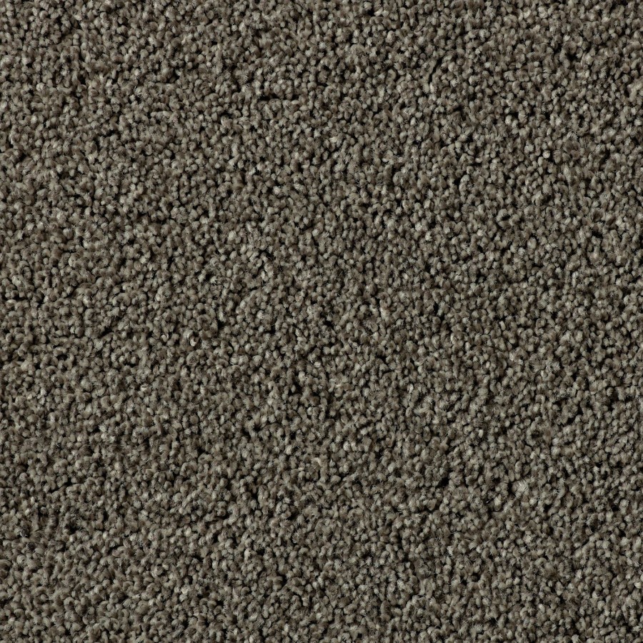 Terelle Twist 31 Pollen
