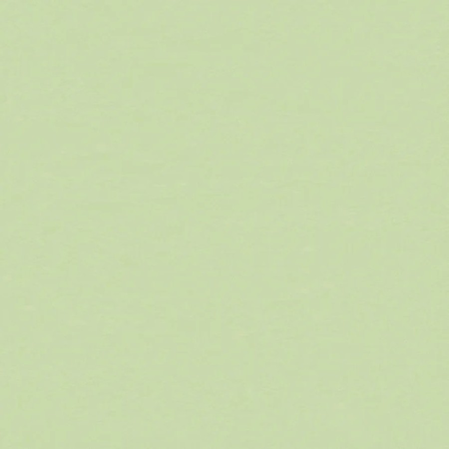 Wasabi 047