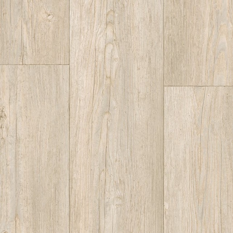 Winter Pine   Soft Beige