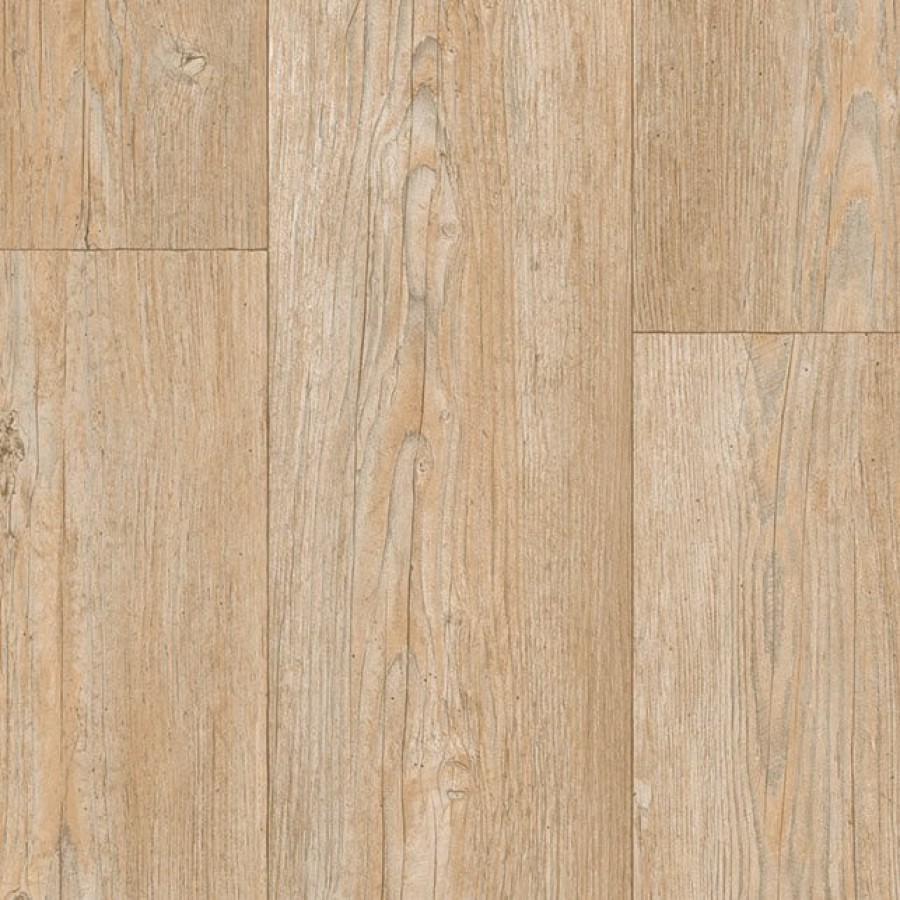 Winter Pine Soft Natural