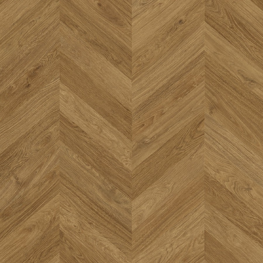 Zenku Artec   Amazona