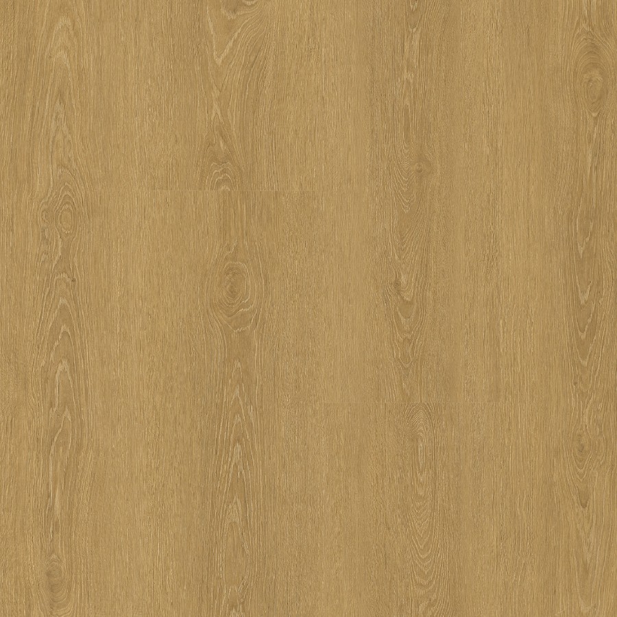 Zenku Creation Botta