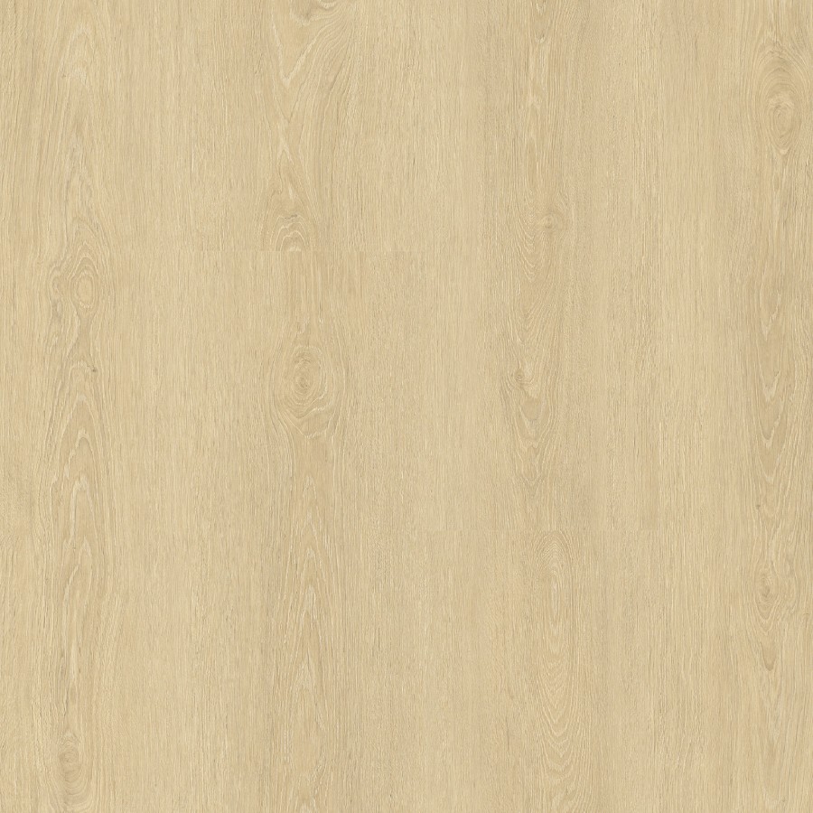 Zenku Creation Calatrava