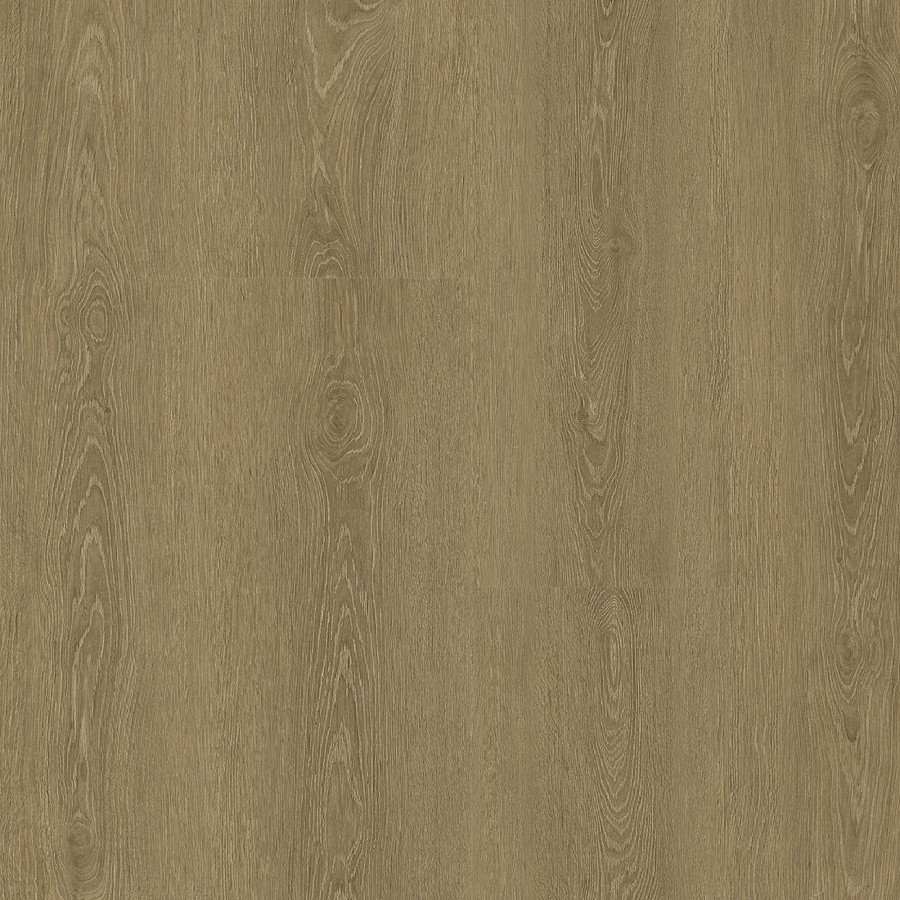 Zenku Creation Foster