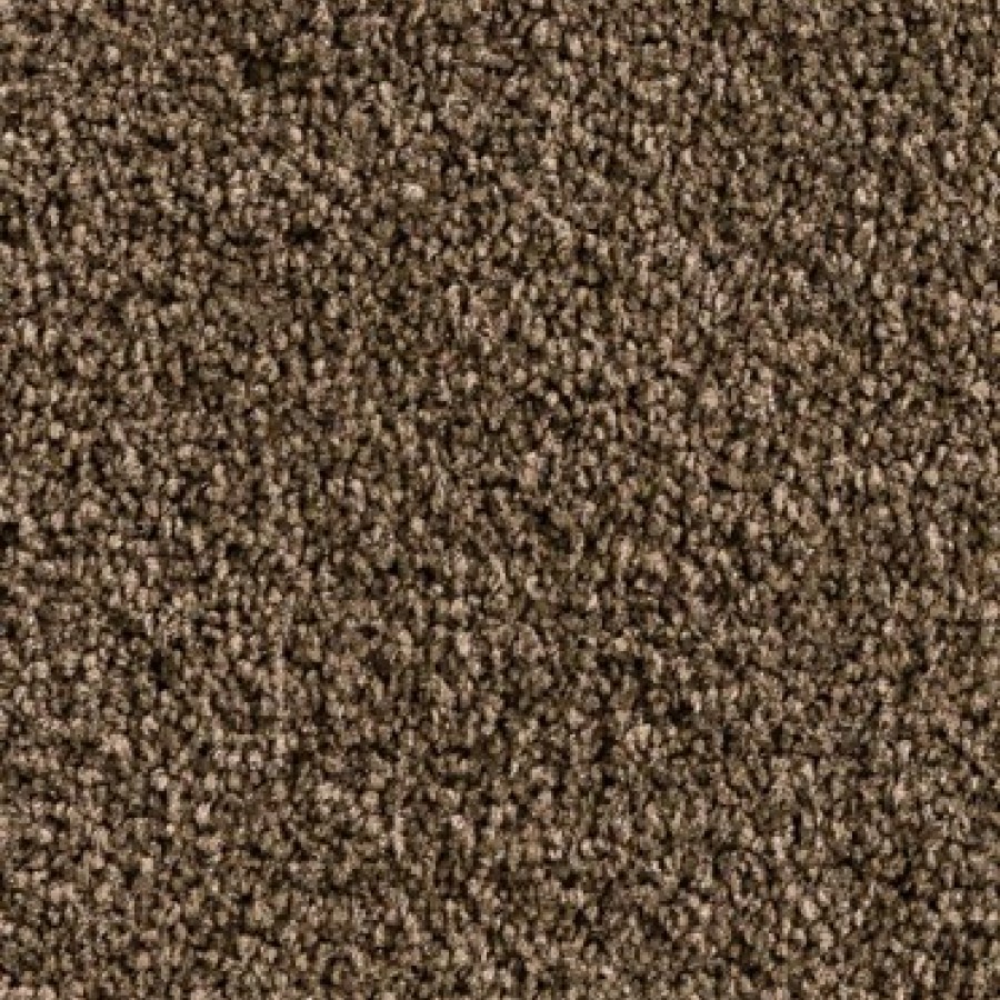 cedar
