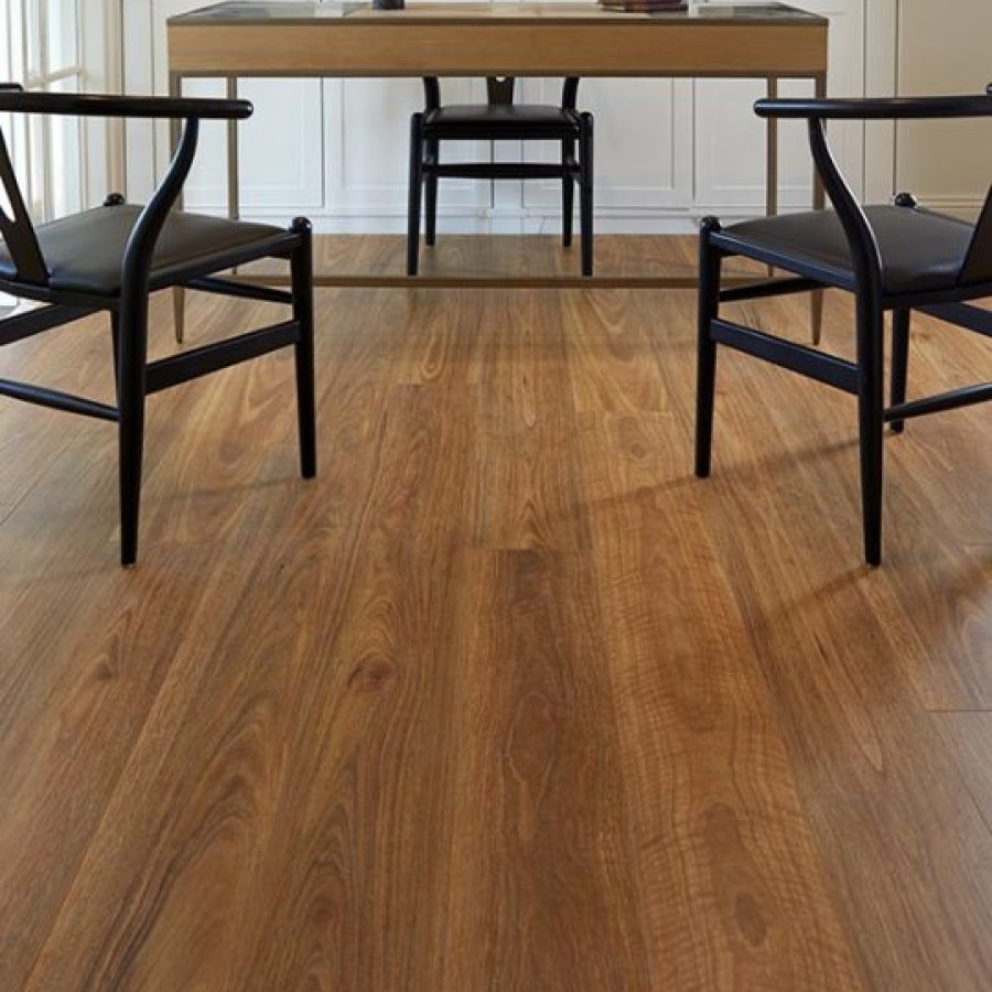 oakleaf spotted gum 1