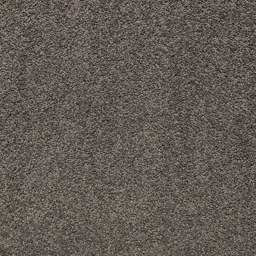 p Mount Ida Peat Moss