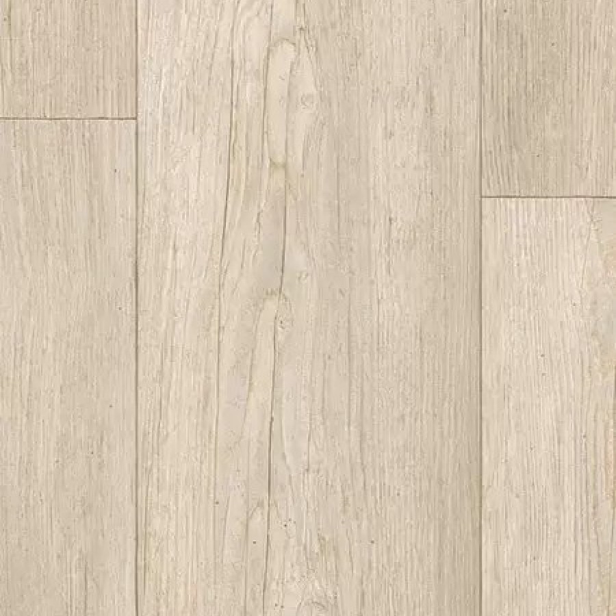 winter pine soft beige